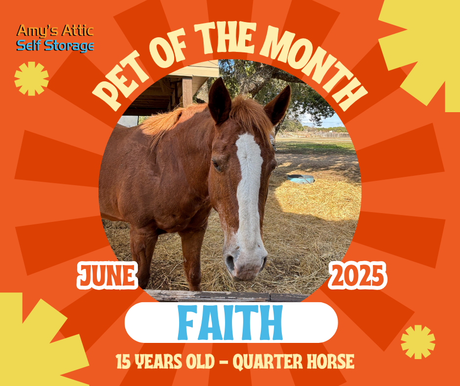 June POTM June’s Pick of the Litter: Faith!
