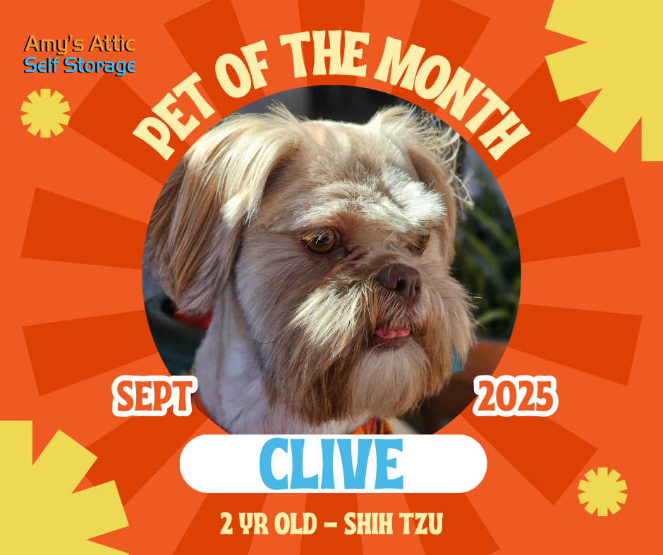 June’s Pick of the Litter: Faith!