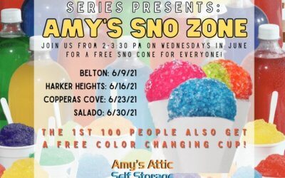 Celebrate Summer with Amy’s Sno Zone!