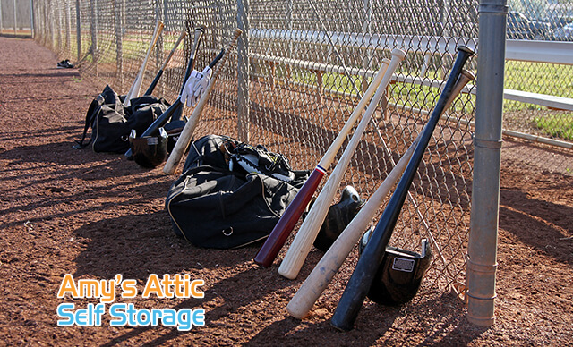 Storage Baseball Equipment Texas