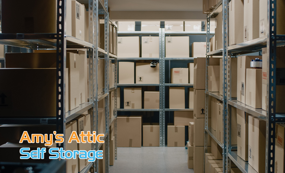 Storage Units for Pharmaceutical Reps